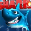 Jumpy Shark