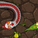 Snake Attack